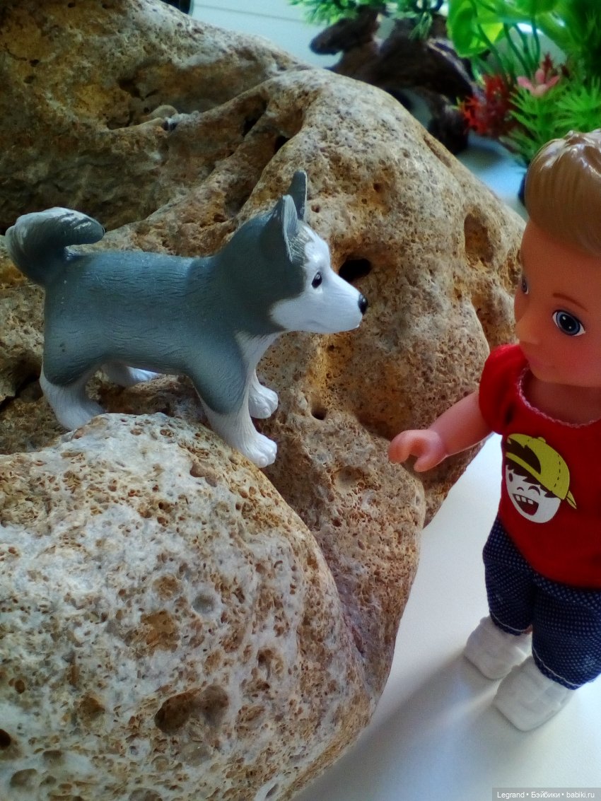 "Мелкие" мальчики: прогулка с собачками