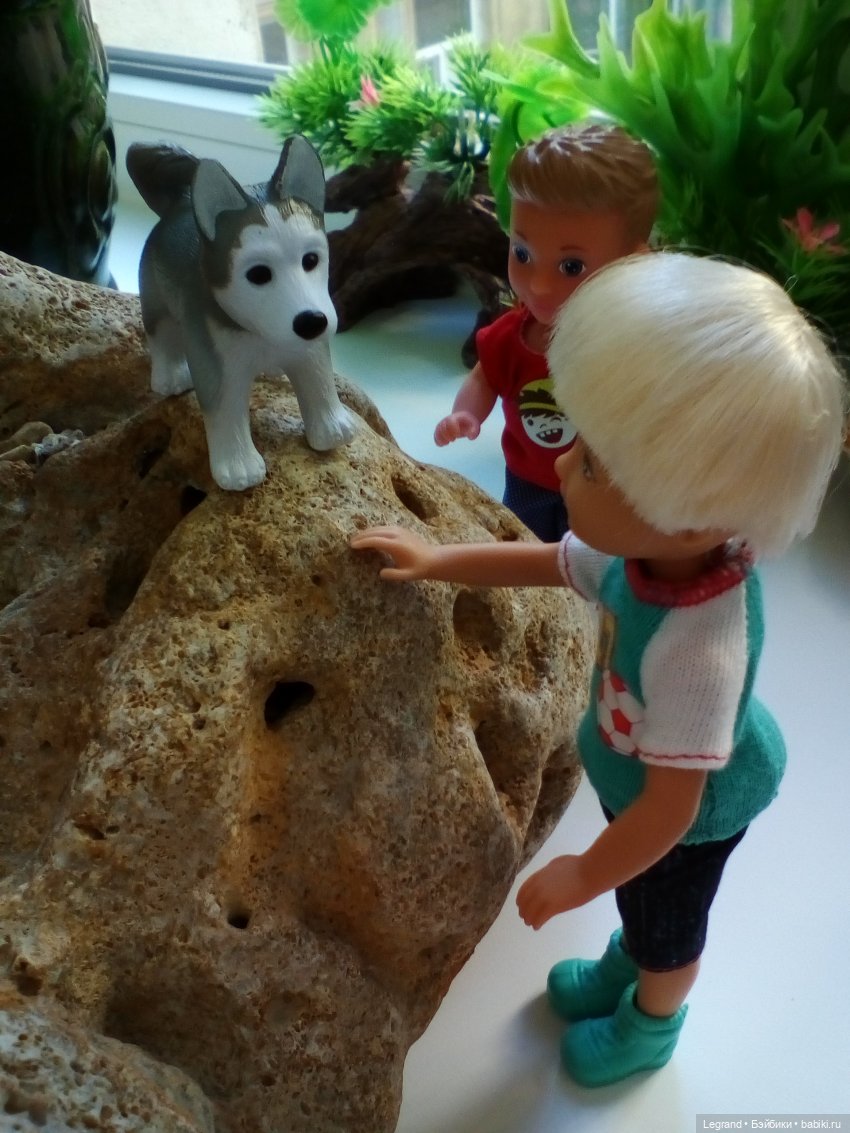 "Мелкие" мальчики: прогулка с собачками