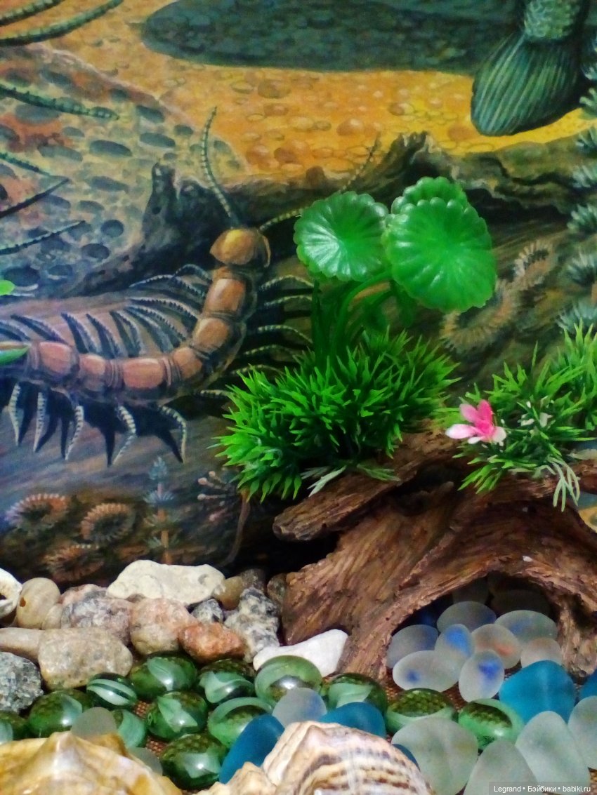 Маленькие луренцы: путешествие к динозаврам. Часть первая