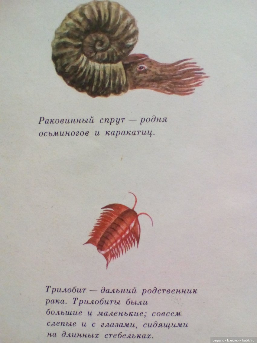 Маленькие луренцы: путешествие к динозаврам. Часть первая (фото 6)