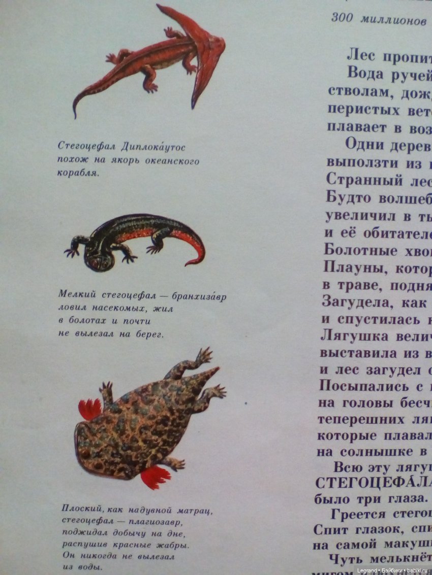 Маленькие луренцы: путешествие к динозаврам. Часть вторая (фото 3)