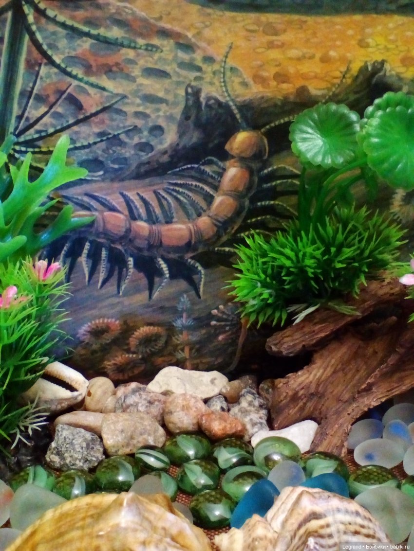 Маленькие луренцы: путешествие к динозаврам. Часть первая