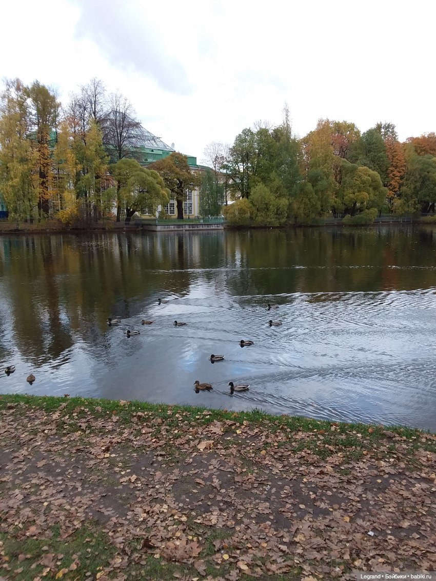 Утёнок для Гри — Плюшевые мишки и игрушки (Teddy Bear): винтаж (фото 7)