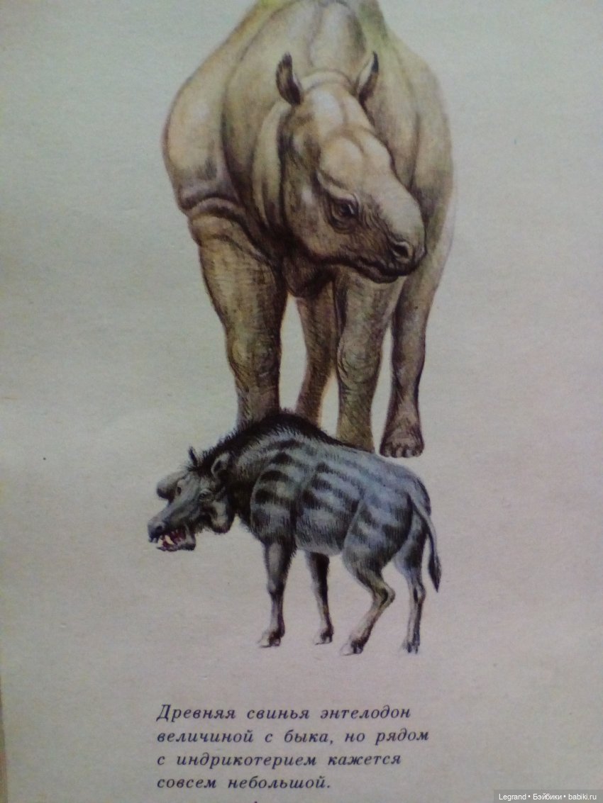 Маленькие луренцы: путешествие к динозаврам. Часть третья (фото 9)