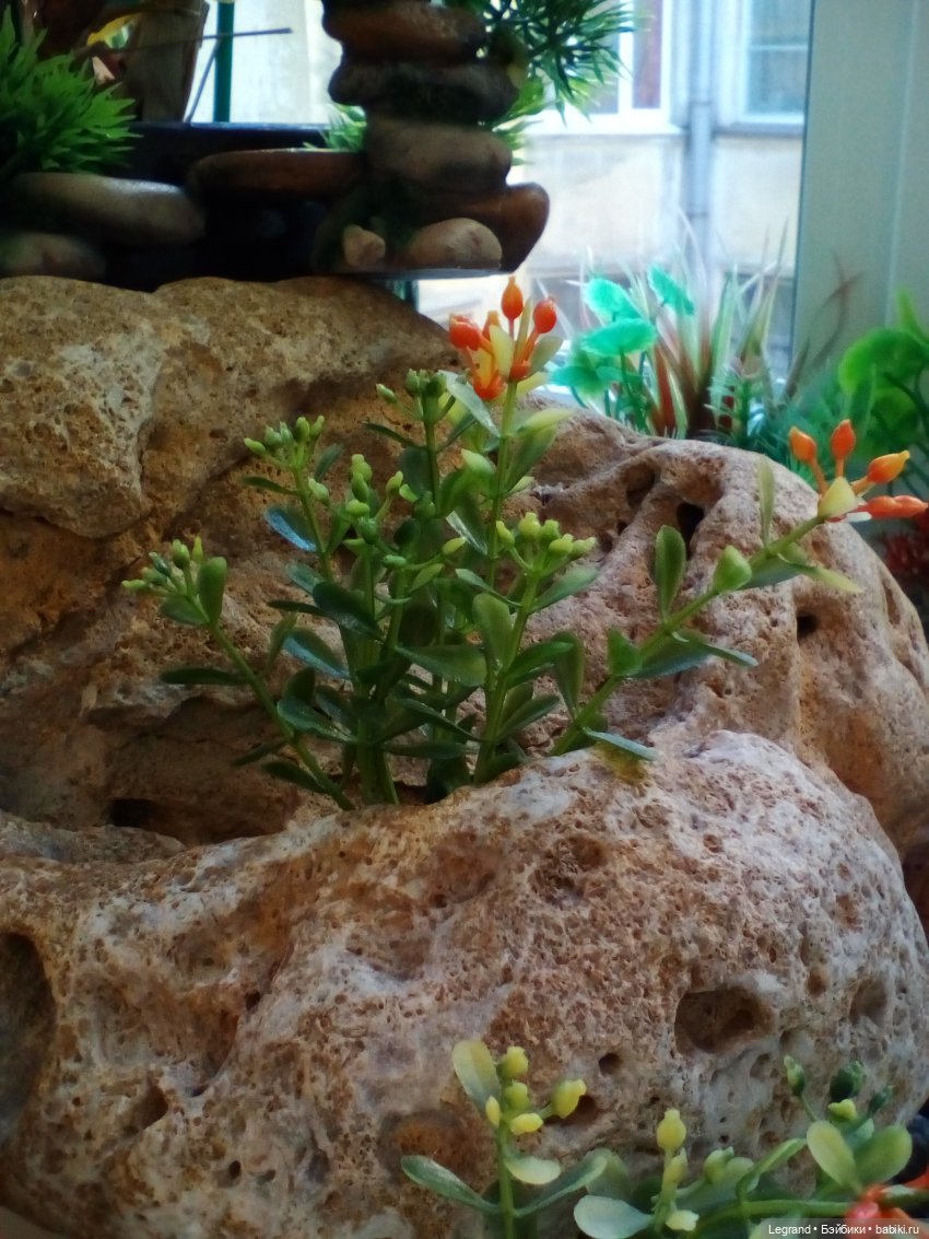 Дети 1:6. Прогулка на "природе" (фото 5)