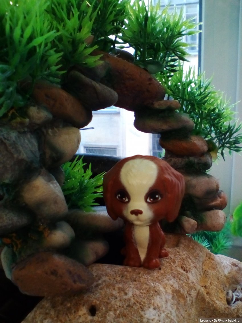 Лурения. Сад. День третий (фото 6)