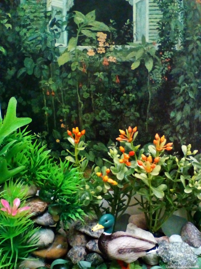 Гри и его любимец: воображаемые путешествия | Бэйбики Гри и его любимец: воображаемые путешествия