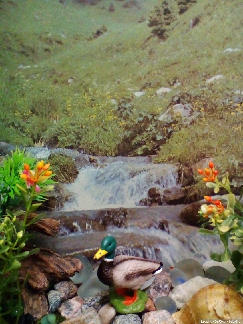 Гри и его любимец: воображаемые путешествия | Бэйбики Гри и его любимец: воображаемые путешествия