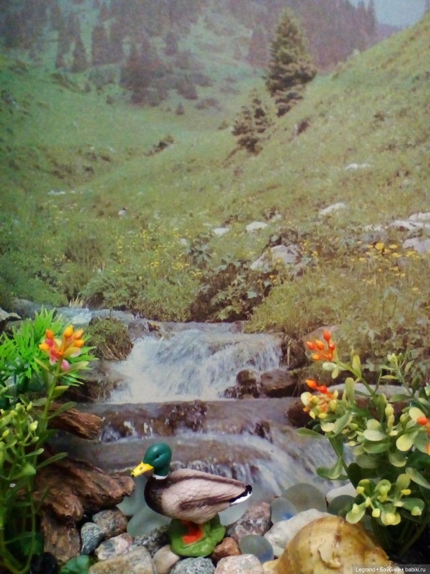 Гри и его любимец: воображаемые путешествия | Бэйбики Гри и его любимец: воображаемые путешествия