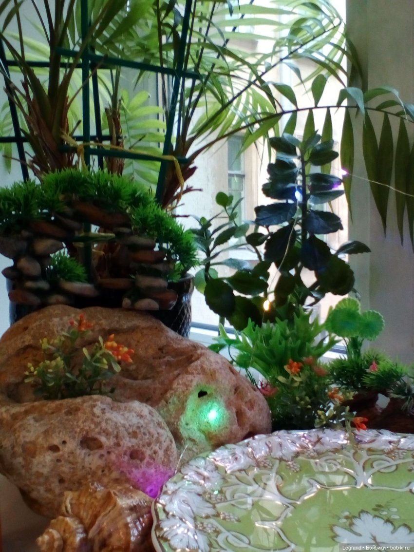 Лурения. Сад. Камилла в купальнике (фото 2)