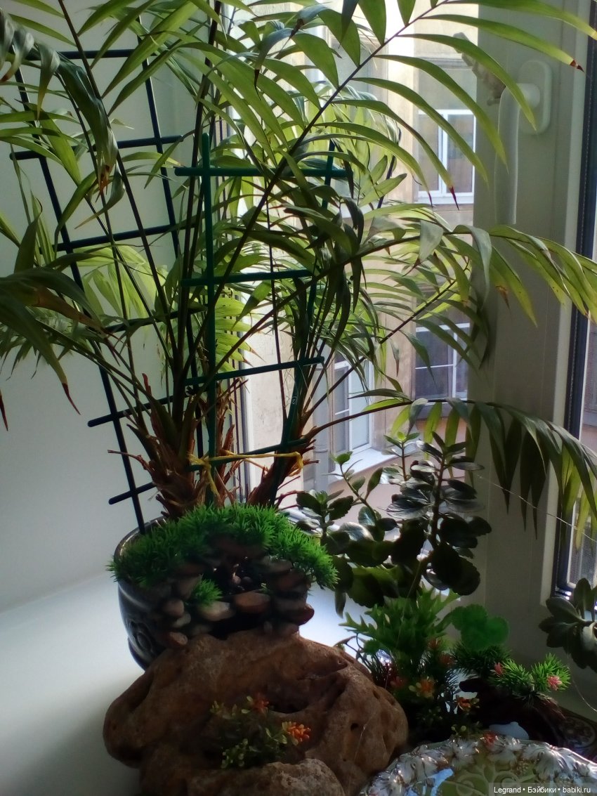 Лурения. Сад. Бумажные кораблики (фото 3)