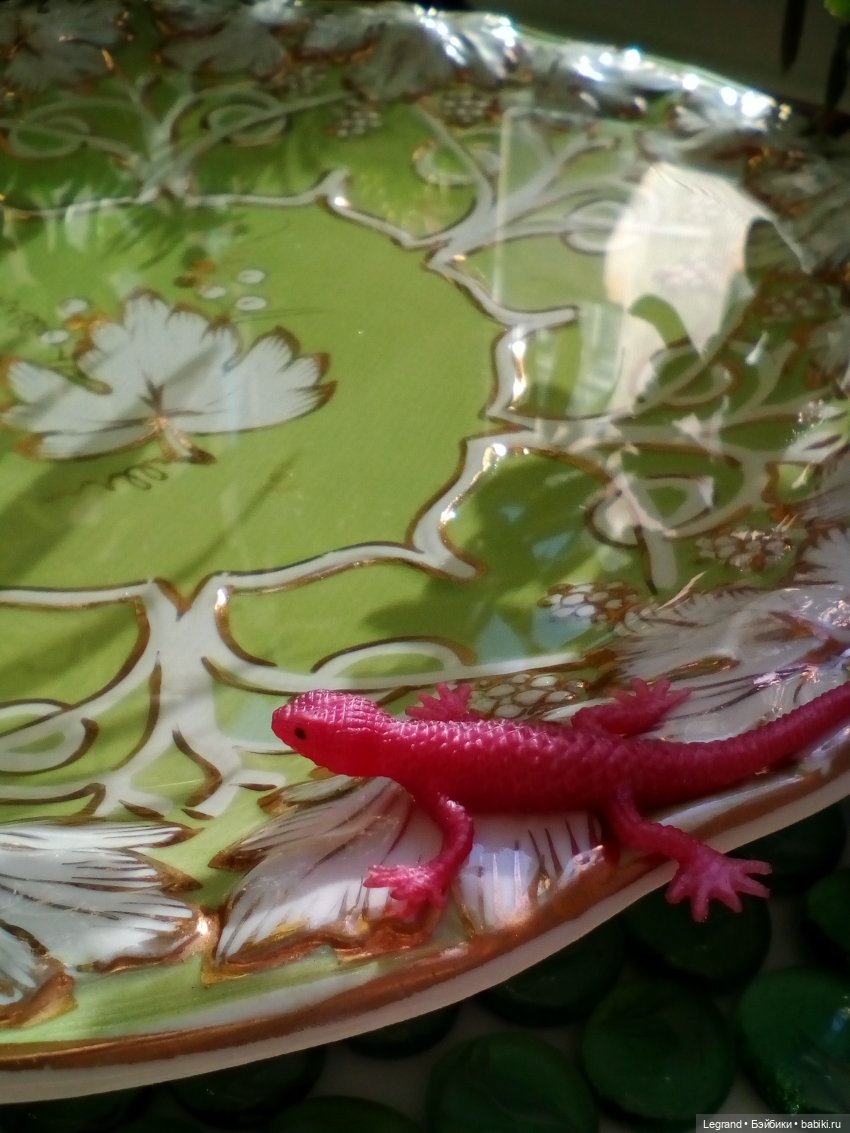 Лурения. Сад. Роксана и Пинки (фото 4)