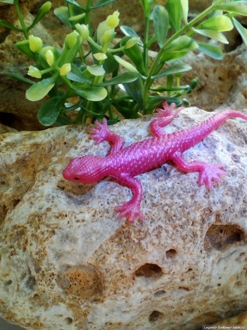 Лурения. Сад. Роксана и Пинки