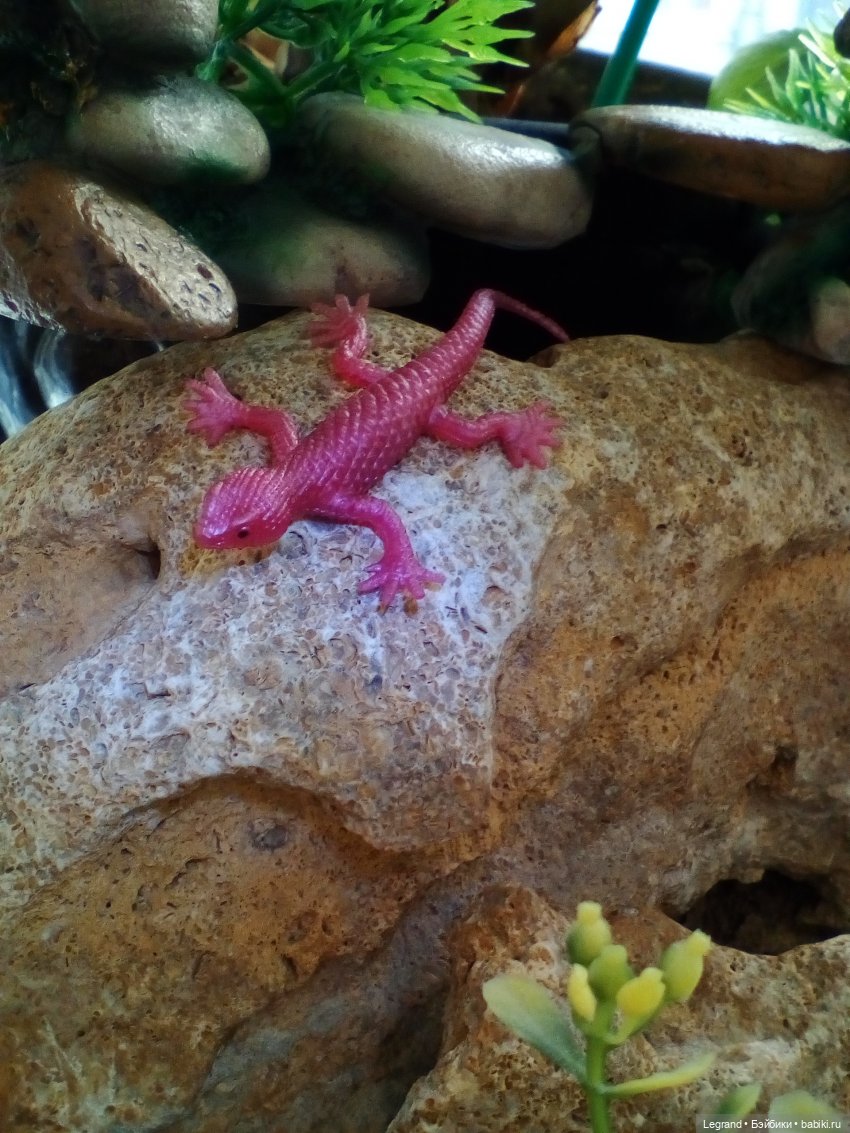 Лурения. Сад. Роксана и Пинки (фото 3)