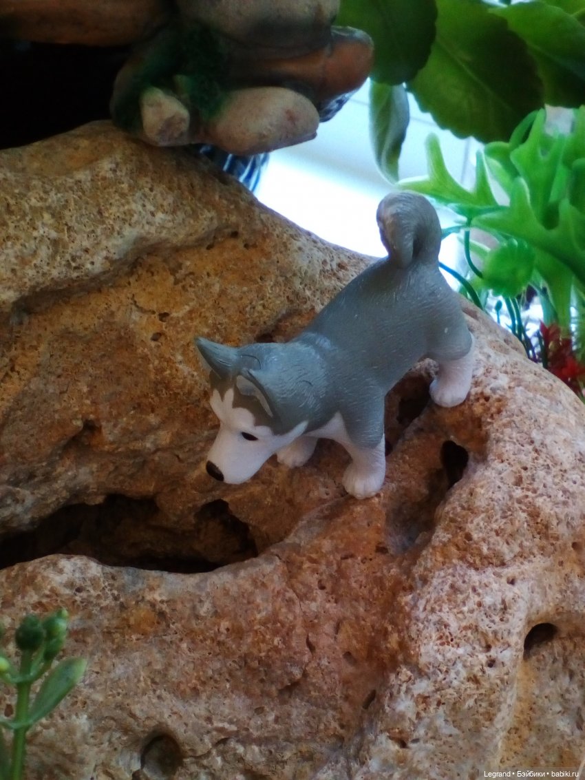 Маленькие луренцы: садовые работы и рыбалка