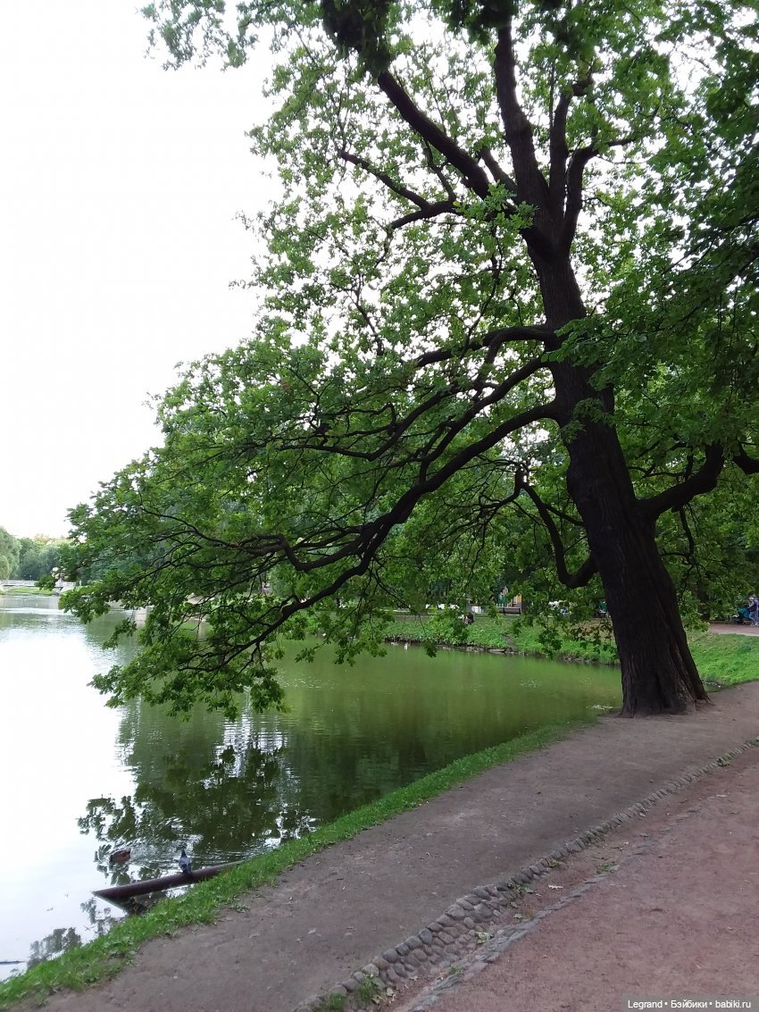 Н. Гумилёв. Шестое чувство