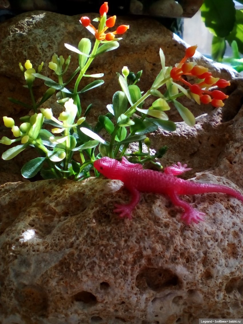 Н. Гумилёв. Шестое чувство