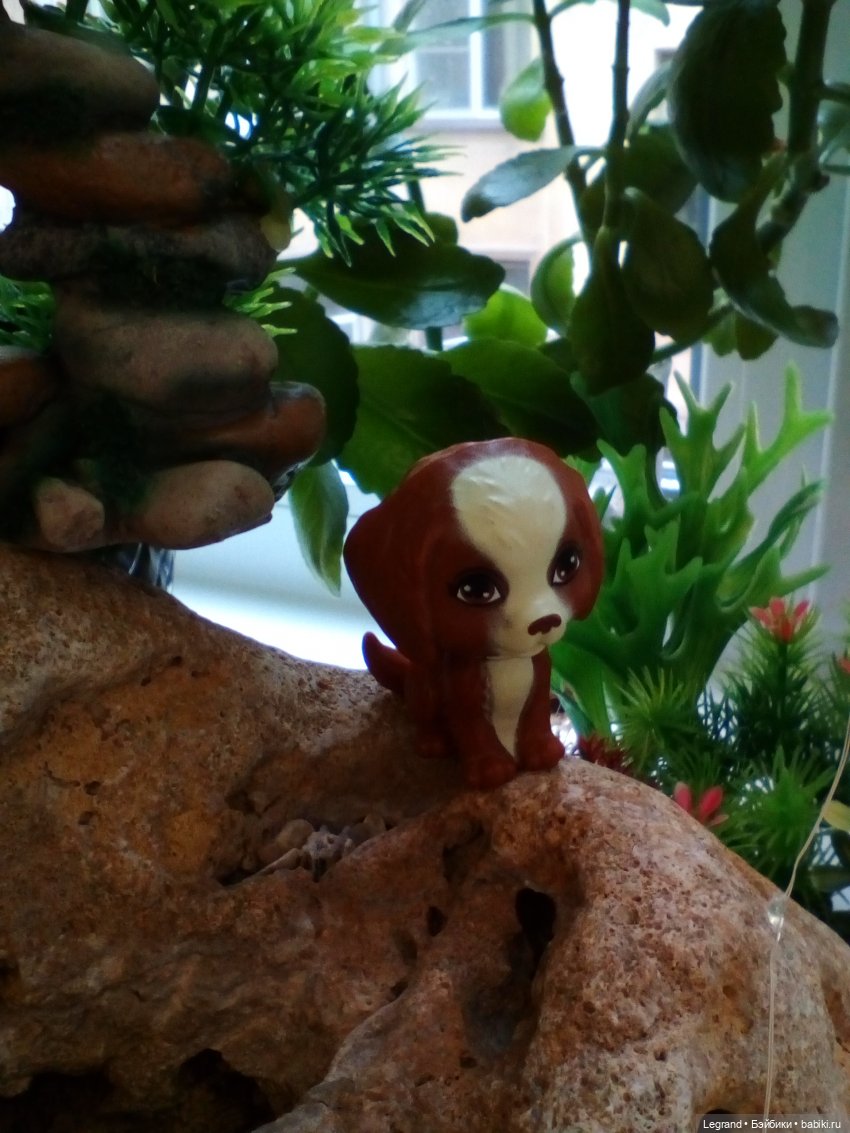 Лурения. Сад. Одилон, Лестат и Мэгги (фото 8)