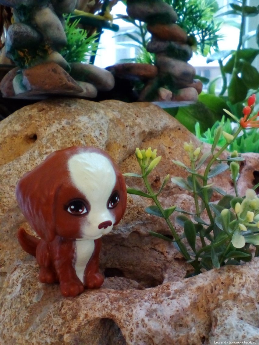 Лурения. Сад. Одилон, Лестат и Мэгги (фото 9)