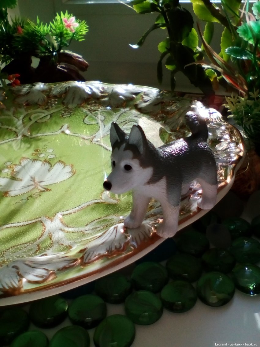 Сад. Утренняя прогулка с Милошем и купание Мориса (Paola Reina)