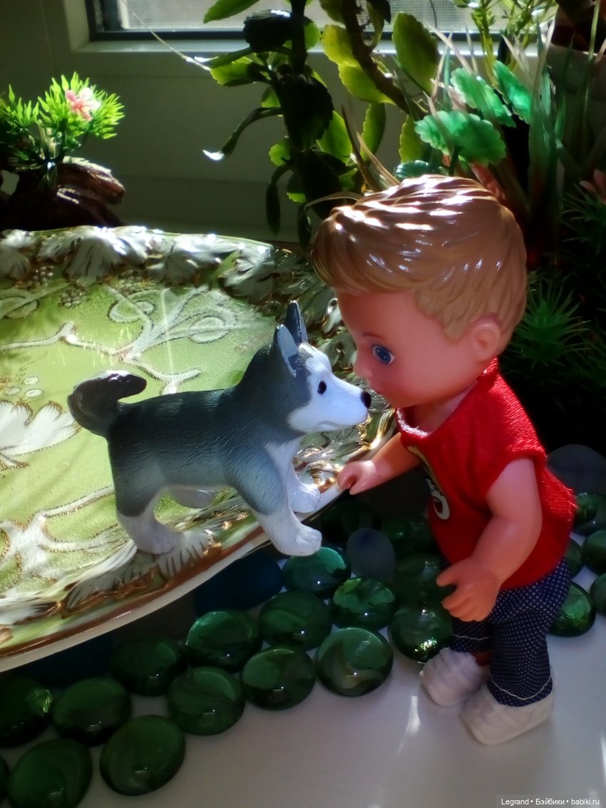 Сад. Утренняя прогулка с Милошем и купание Мориса (Paola Reina)