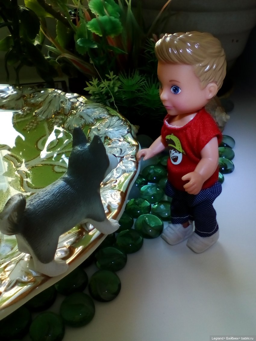 Сад. Утренняя прогулка с Милошем и купание Мориса (Paola Reina)