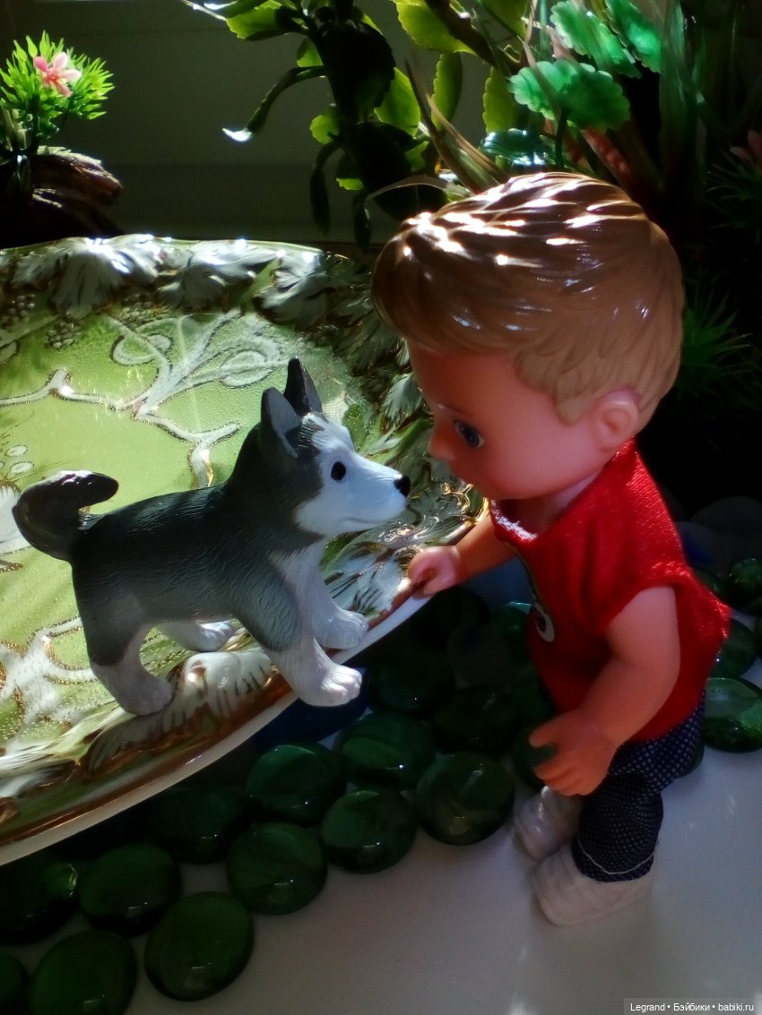 Сад. Утренняя прогулка с Милошем и купание Мориса (Paola Reina)