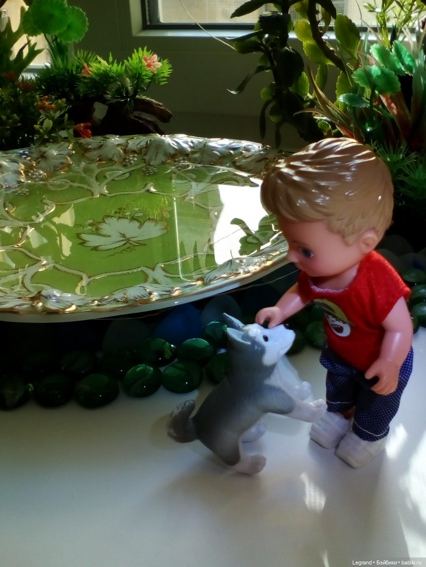 Сад. Утренняя прогулка с Милошем и купание Мориса (Paola Reina)