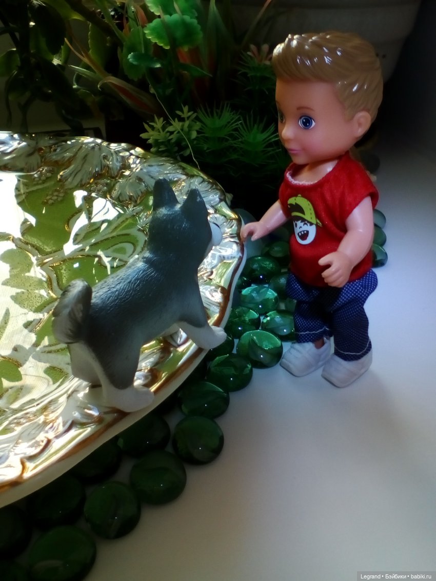 Сад. Утренняя прогулка с Милошем и купание Мориса (Paola Reina)