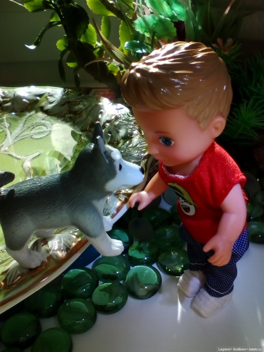 Сад. Утренняя прогулка с Милошем и купание Мориса (Paola Reina)