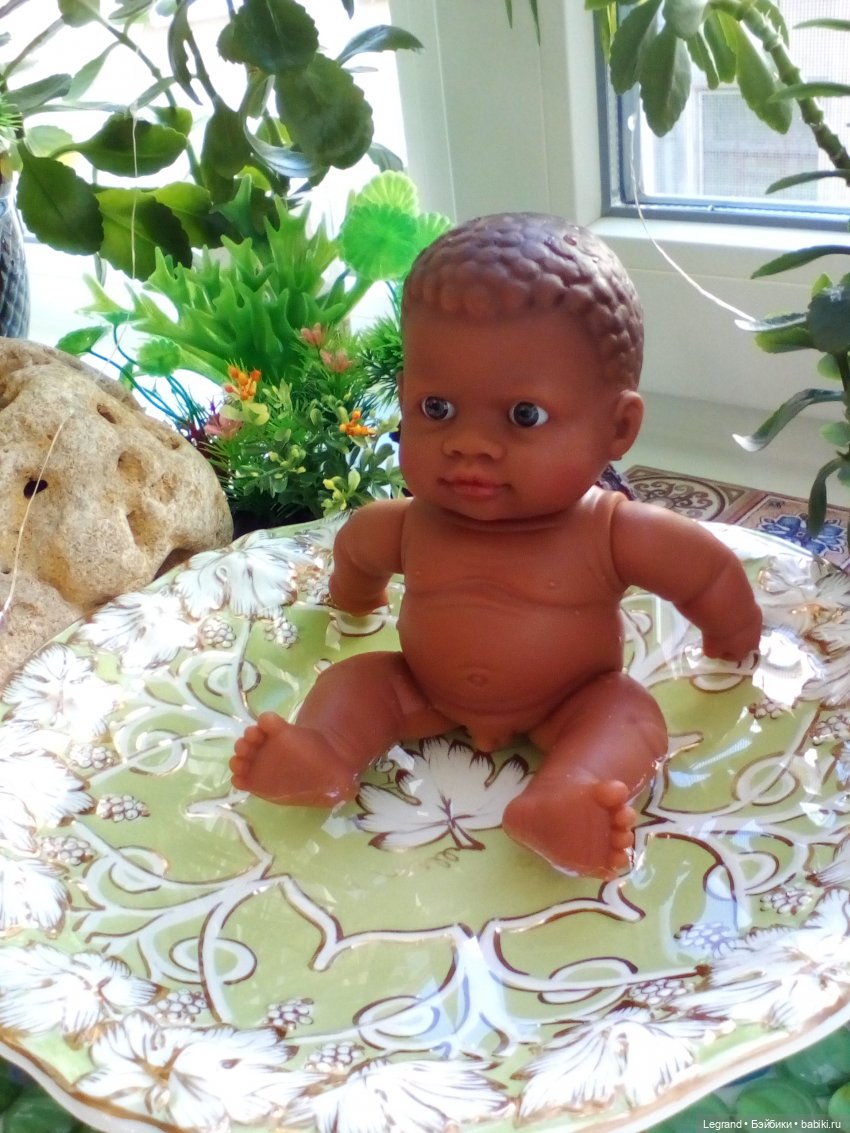 Сад. Утренняя прогулка с Милошем и купание Мориса (Paola Reina)