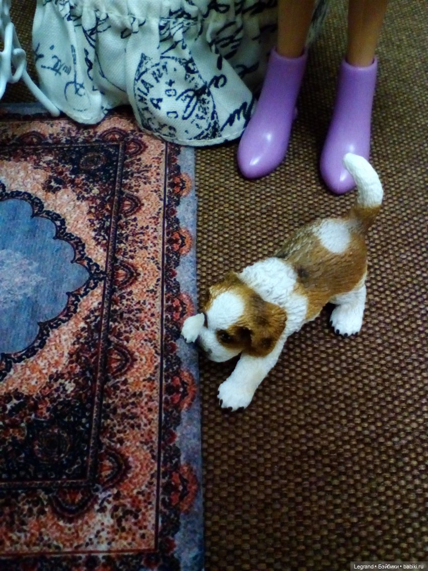 Они сами пишут свои истории: Оливье, Бижу, хот-доги и собачка (фото 3)