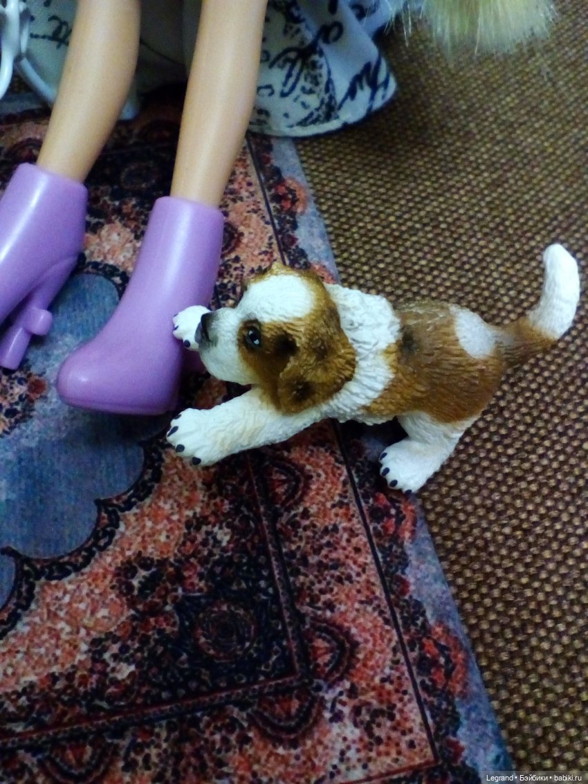 Они сами пишут свои истории: Оливье, Бижу, хот-доги и собачка