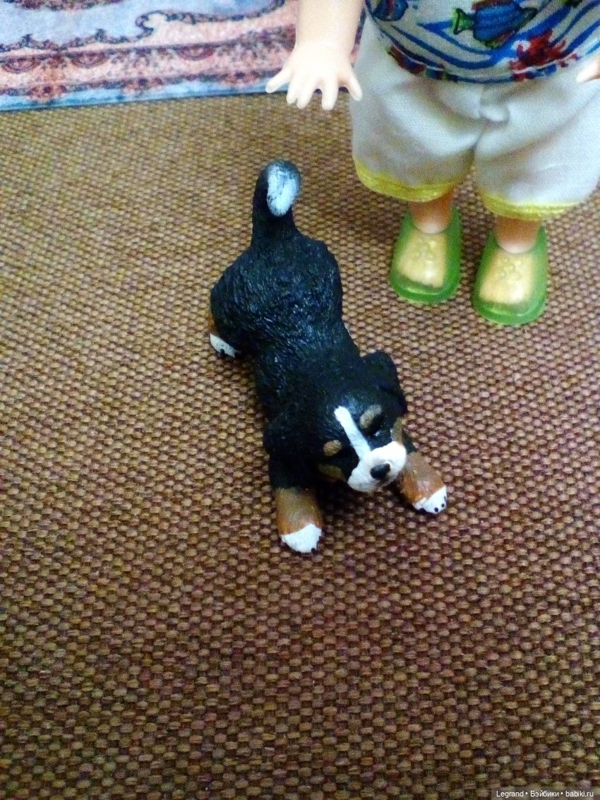 Они сами пишут свои истории: Оливье, Бижу, хот-доги и собачка