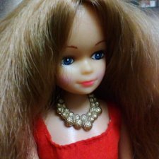 Алексис - моя винтажная Венди