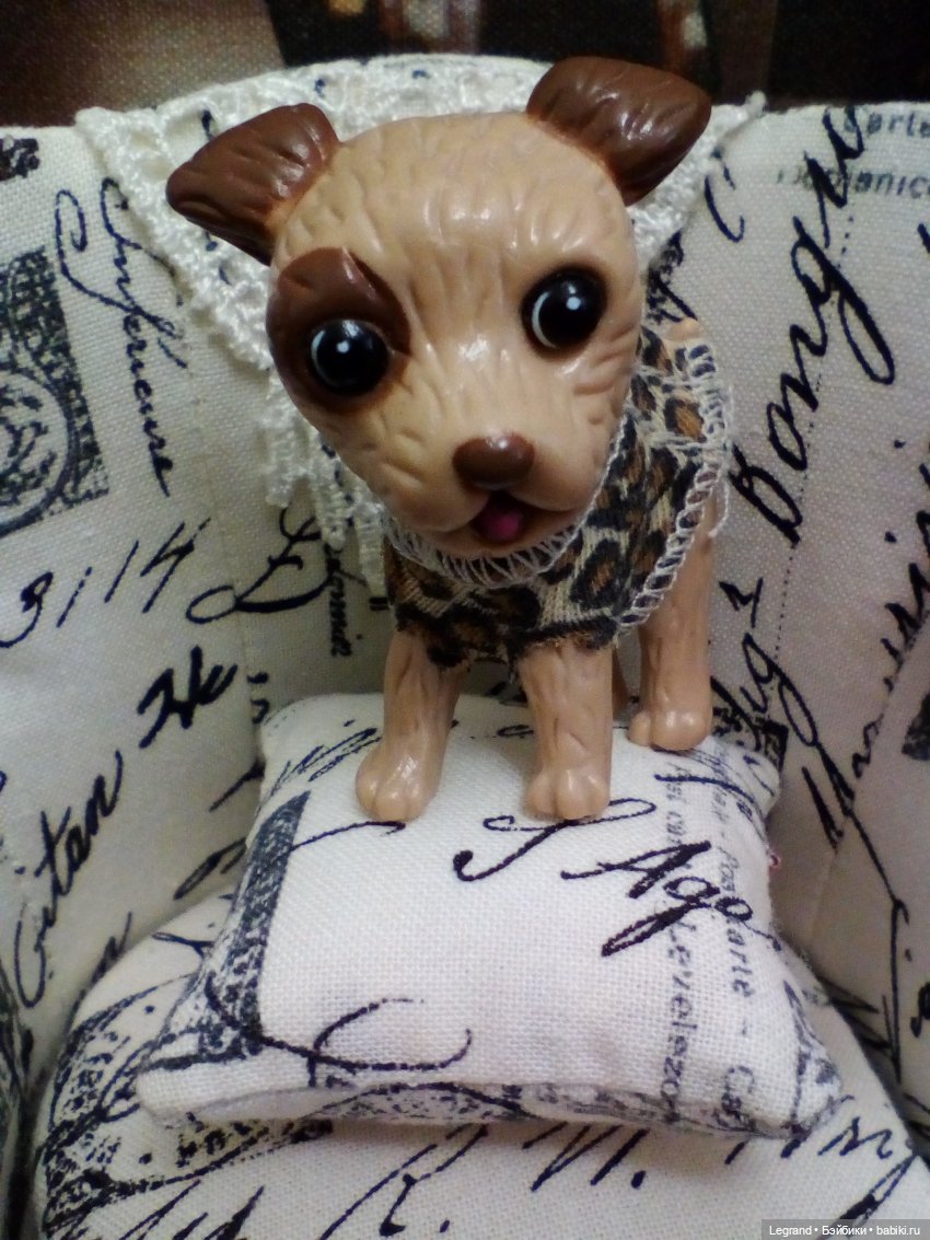 Лурения Мини-дог шоу Группа поддержки Лукум (фото 2)