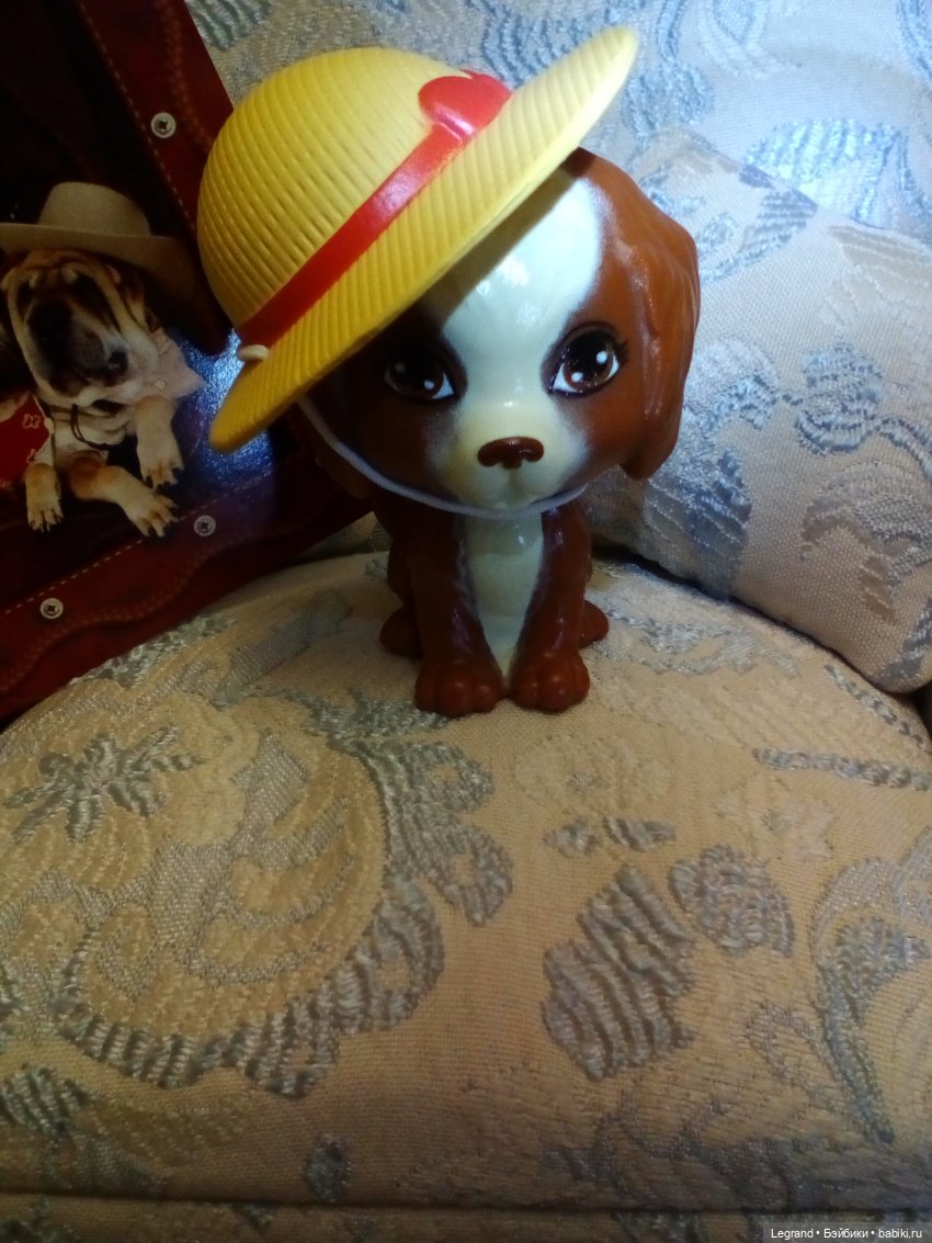 Лурения. Мини-дог Шоу. Мэгги и Мармарис