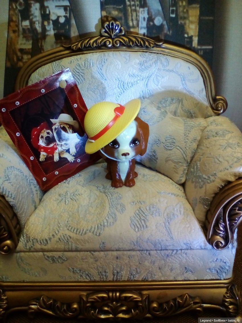 Лурения. Мини-дог Шоу. Мэгги и Мармарис