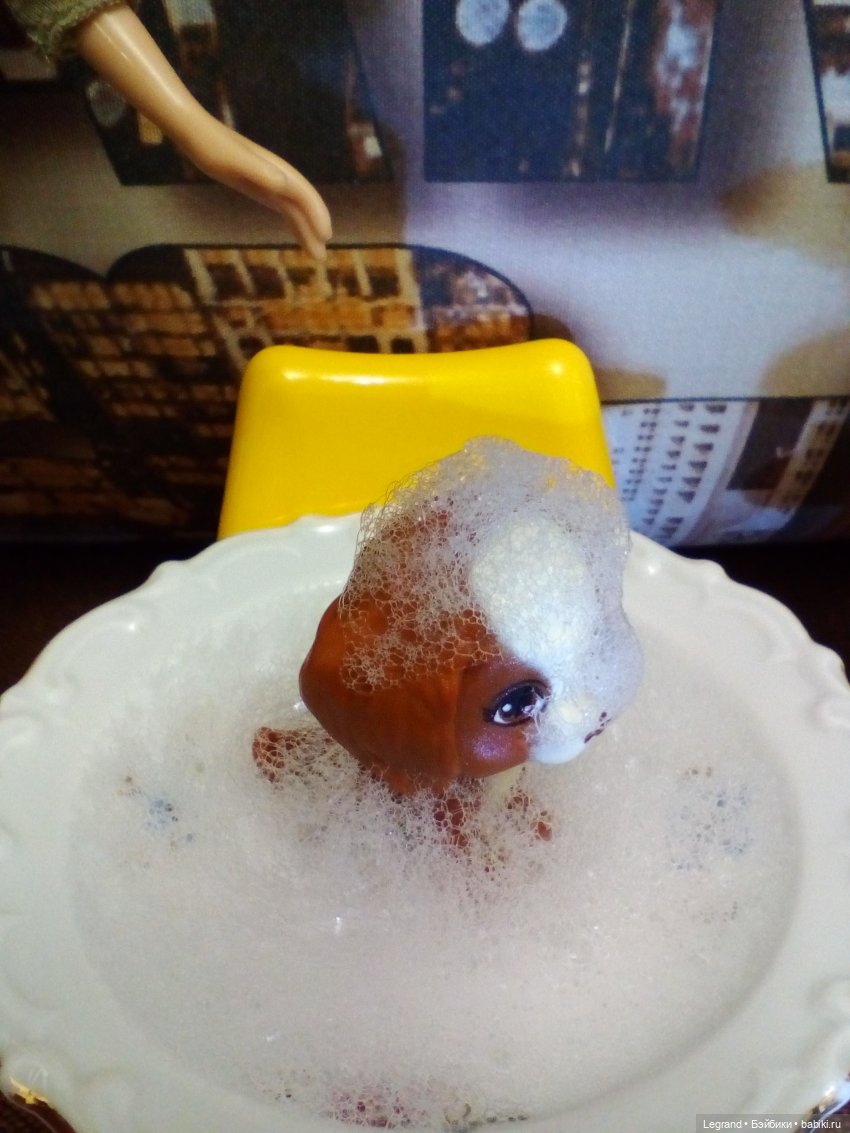 Лурения. Мини-дог Шоу. СПА-салон для Мармариса. Часть первая