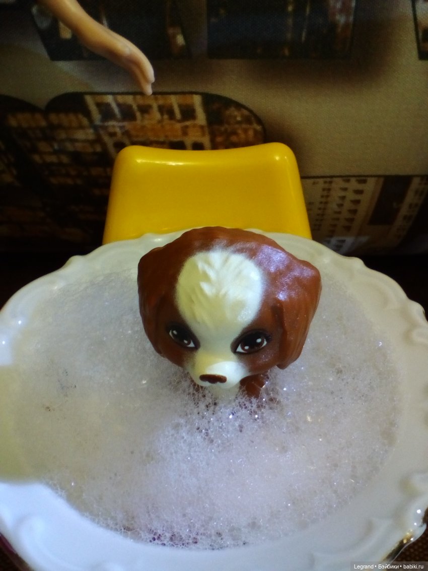 Лурения. Мини-дог Шоу. СПА-салон для Мармариса. Часть первая