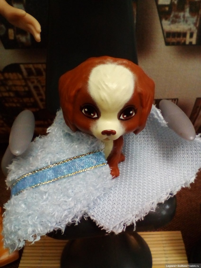 Лурения. Мини-дог Шоу. СПА-салон для Мармариса. Часть первая