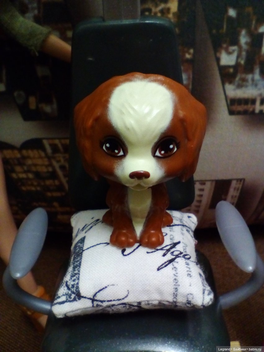 Лурения. Мини-дог Шоу. СПА-салон для Мармариса. Часть вторая (фото 4)