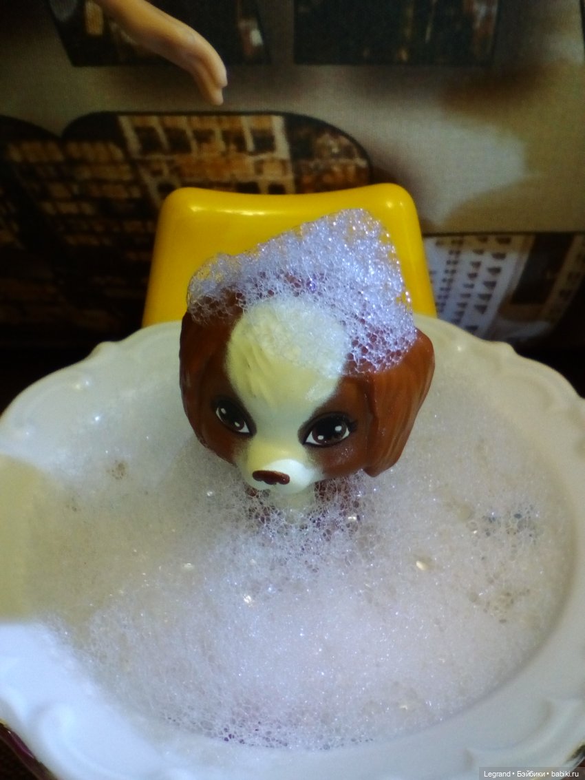 Лурения. Мини-дог Шоу. СПА-салон для Мармариса. Часть первая