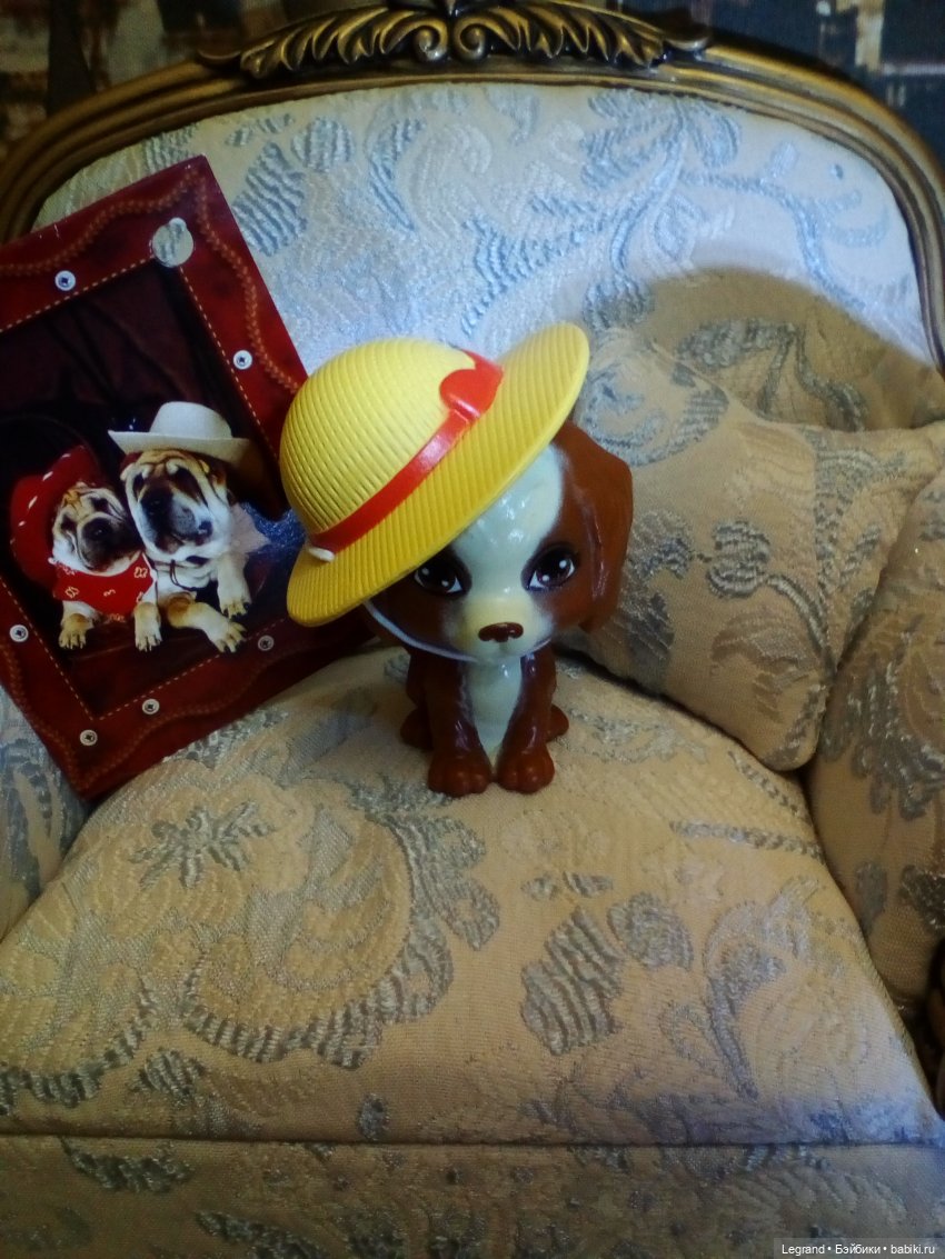 Лурения. Мини-дог Шоу. Мэгги и Мармарис