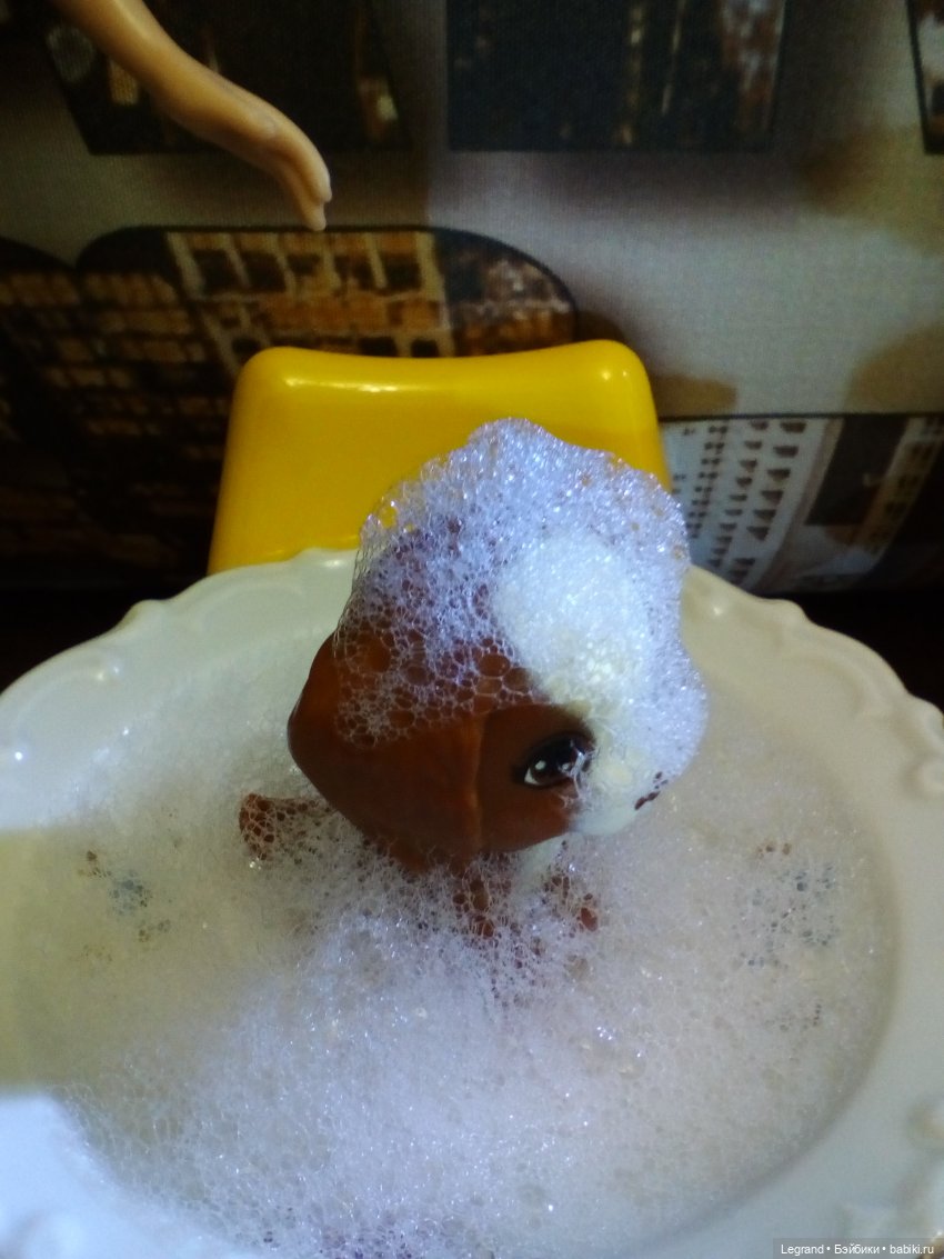 Лурения. Мини-дог Шоу. СПА-салон для Мармариса. Часть первая