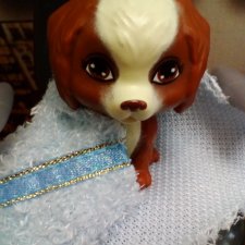 Лурения. Мини-дог Шоу. СПА-салон для Мармариса. Часть первая