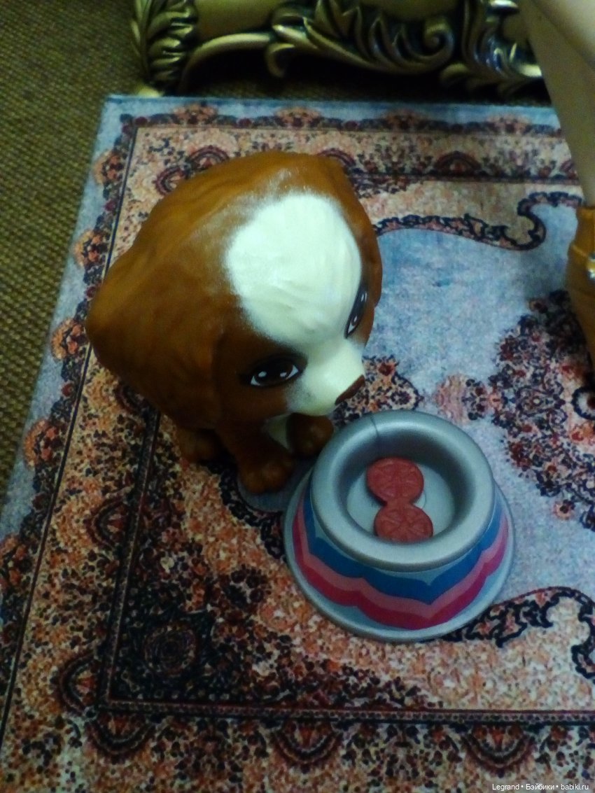 Между этапами Мини-дог Шоу: Амбруаз, Айсис и Мармарис