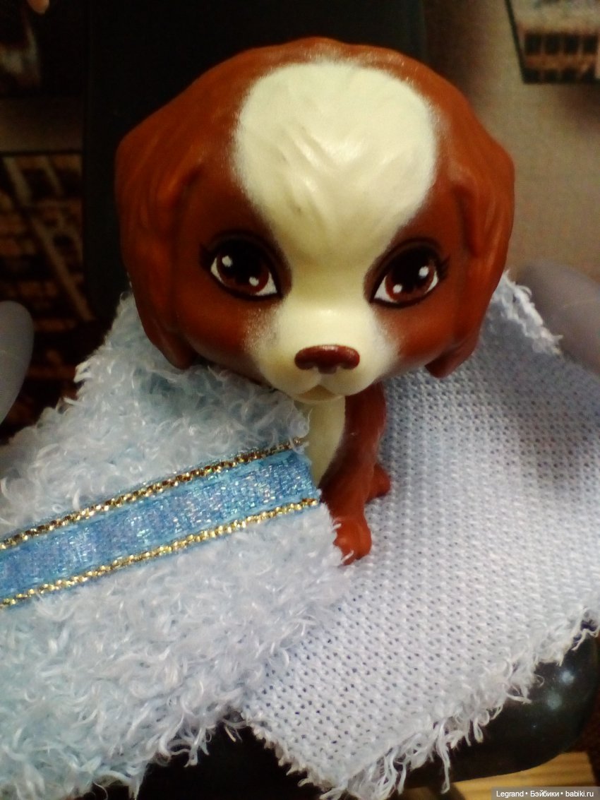 Лурения. Мини-дог Шоу. СПА-салон для Мармариса. Часть вторая (фото 2)