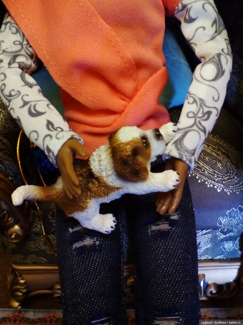 Лурения Мини-дог Шоу Вторая группа поддержки Джана (фото 4)