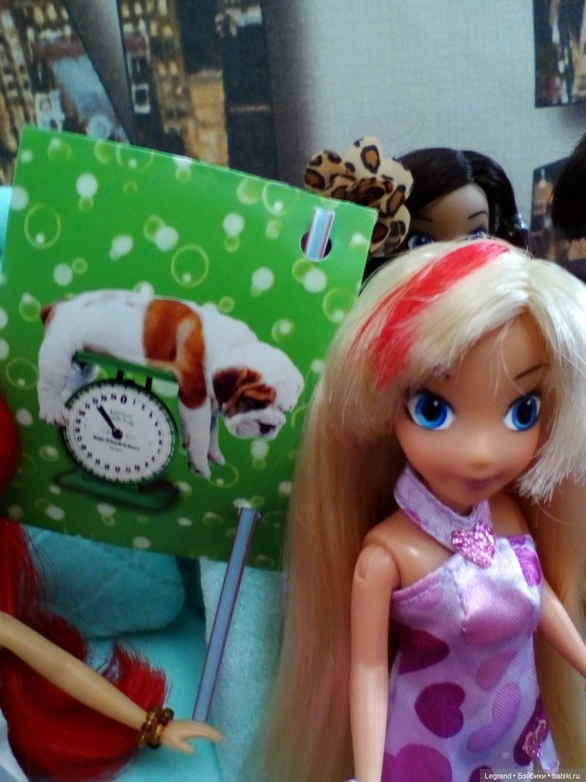 Лурения. Мини-дог Шоу. Первая группа поддержки Джана | Бэйбики Лурения. Мини-дог Шоу. Первая группа поддержки Джана (фото 6)